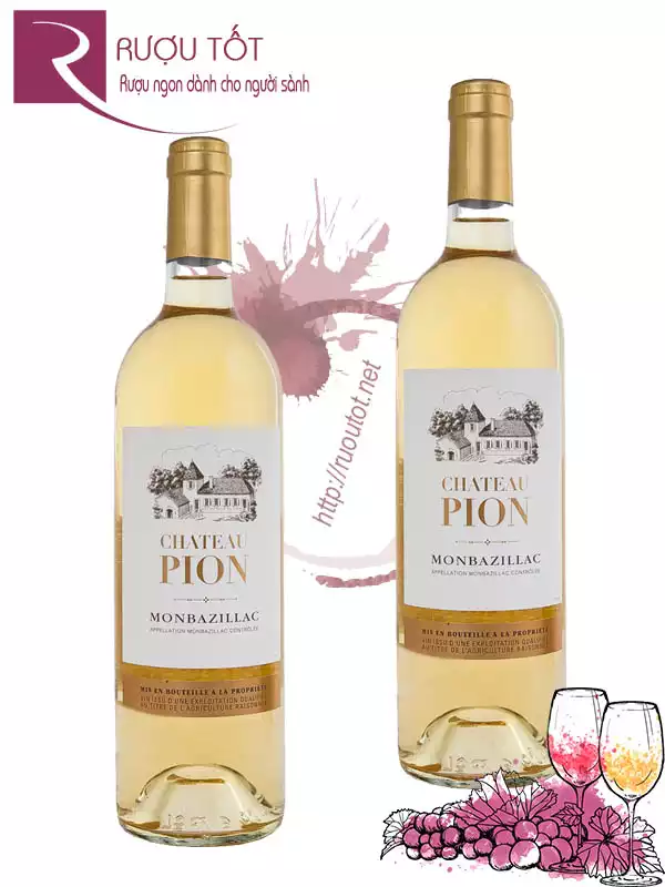 Rượu Vang Chateau Pion