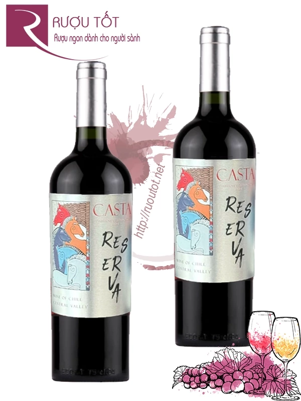 Rượu vang Casta Reserva Cabernet Sauvignon Central Valley