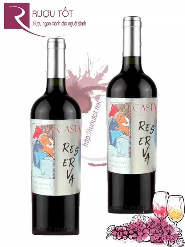 Rượu vang Casta Reserva Cabernet Sauvignon Central Valley