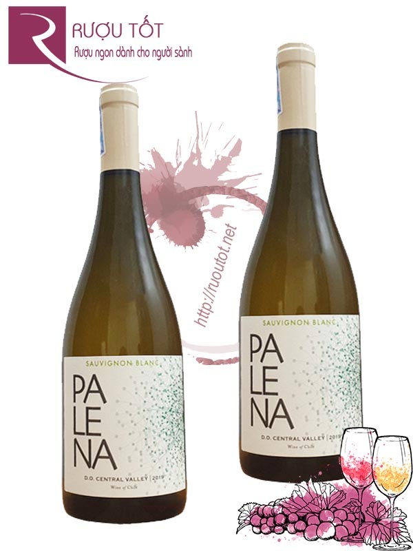 Rượu vang Palena Palena Sauvignon Blanc Cao cấp
