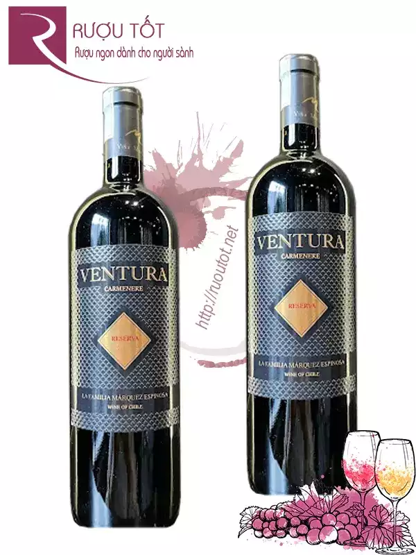 Rượu Vang Chile Ventura Reserva 13%