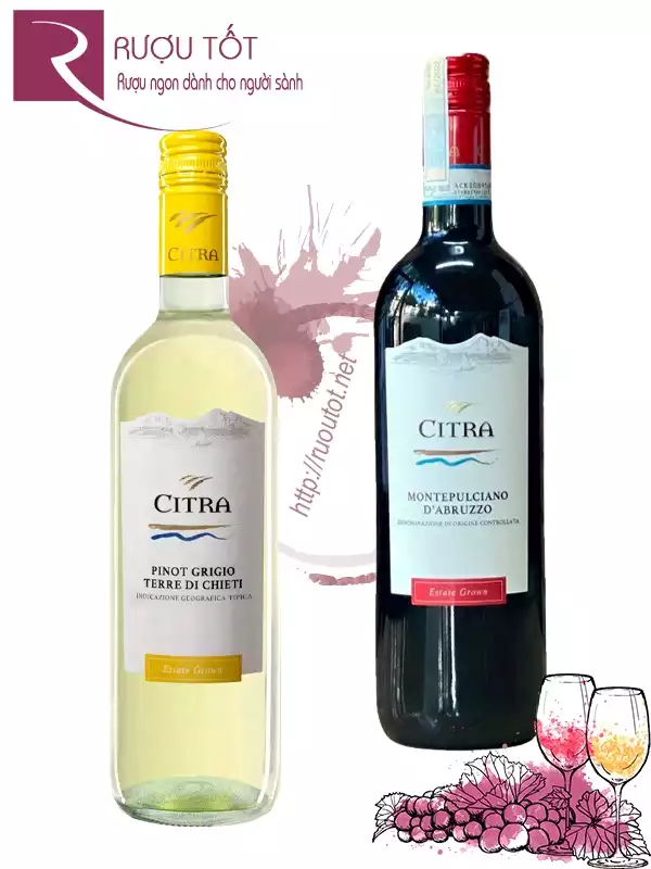 Rượu vang Citra Red - White