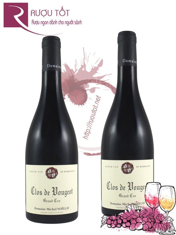 Rượu Vang Clos de Vougeot Grand Cru Domaine Michel Noellat