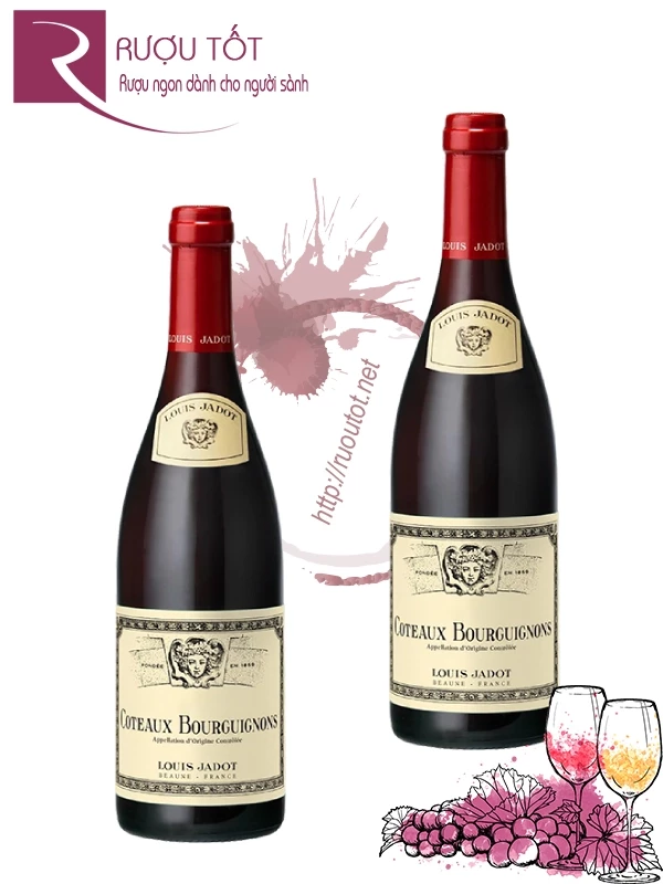 Rượu Vang Coteaux Bourguignons Louis Jadot