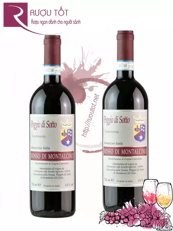 Rượu Vang Poggio Di Sotto Rosso Di Montalcino