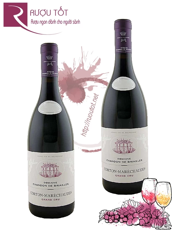 Rượu Vang Domaine Chandon De Briailles Corton Grand Cru