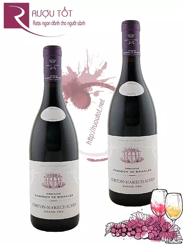 Rượu Vang Domaine Chandon De Briailles Corton Grand Cru
