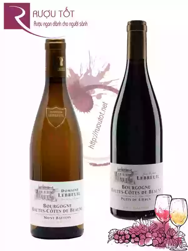 Rượu vang Bourgogne Hautes Cotes de Beaune Puits de Chaux/Mont Battois