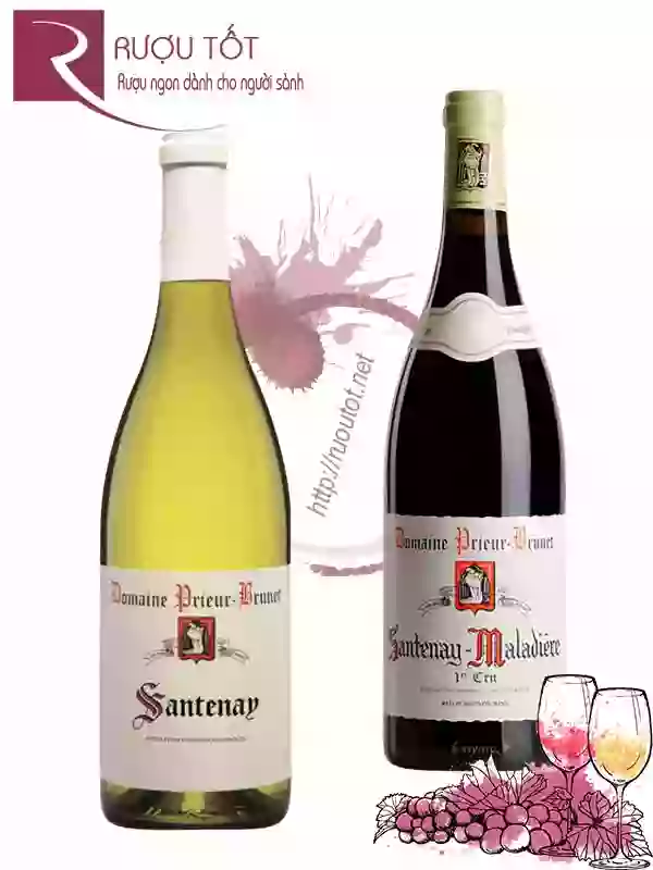 Rượu vang Santenay Domaine Prieur Brunet (đỏ-trắng) Chính hãng