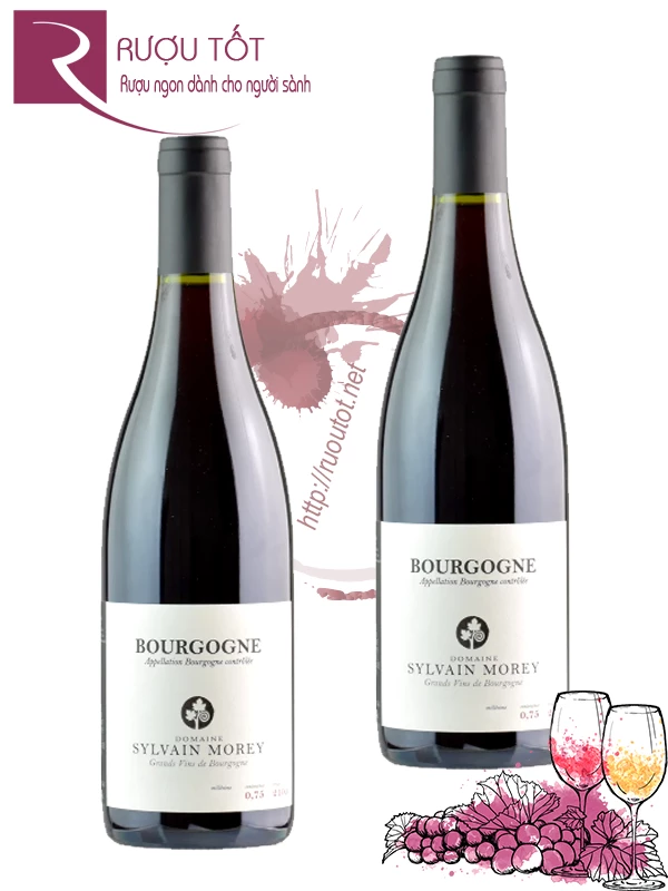 Rượu vang Domaine Sylvain Morey Bourgogne