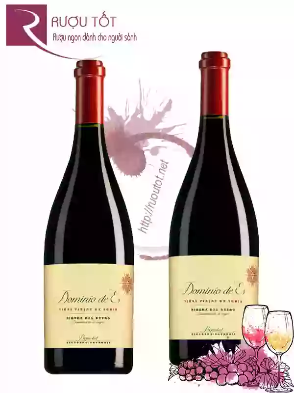 Rượu Vang Dominio De Es Vinas Viejas De Soria