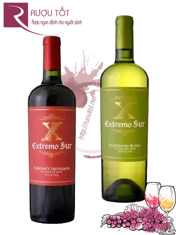 Rượu vang Extremo Sur Red - White 13%