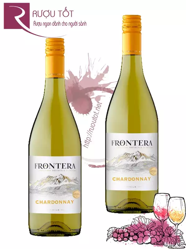 Rượu vang Concha Y Toro Frontera Chardonnay Central Valley