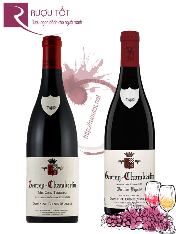 Rượu Vang Gevrey Chambertin Domaine Denis Mortet