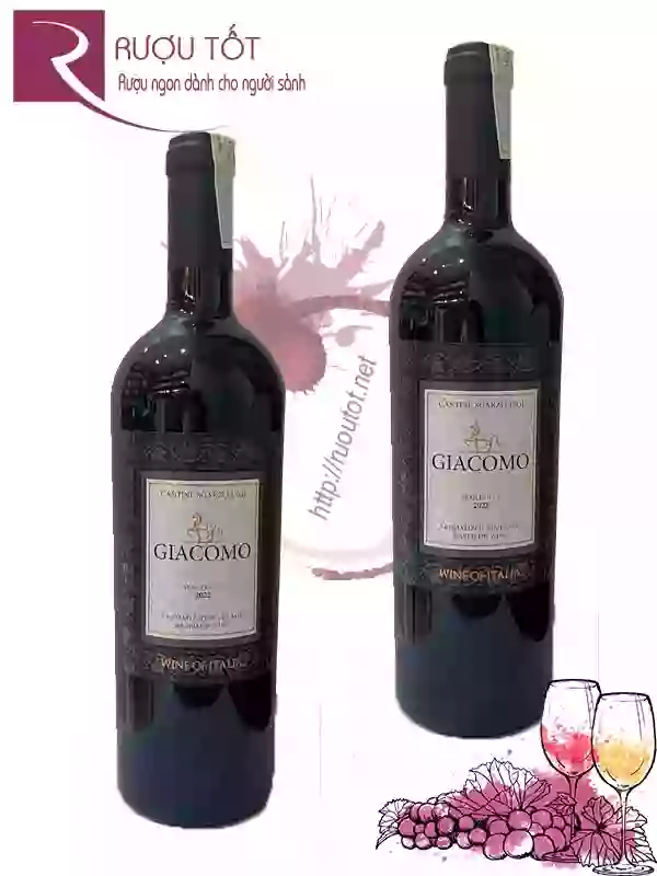 Rượu vang Giacomo Semi Dolce 10,5%