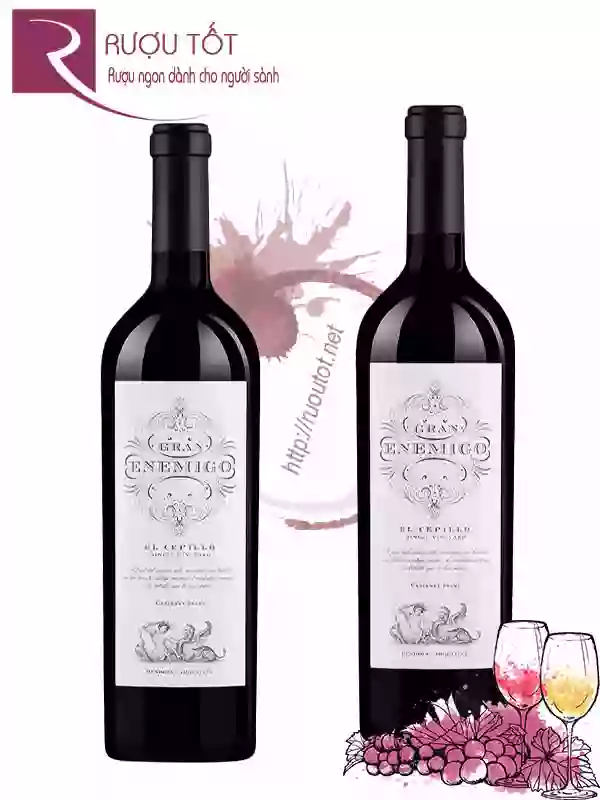 Rượu Vang Gran Enemigo El Cepillo Cabernet Franc