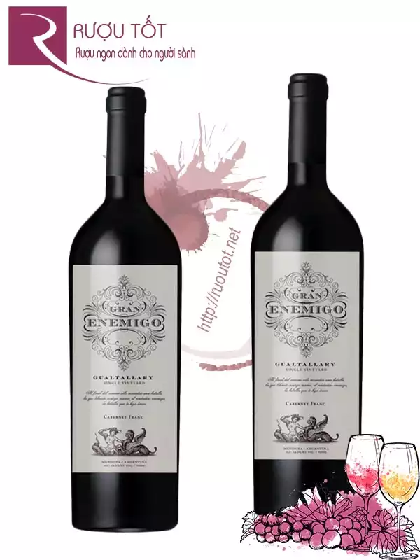 Rượu Vang Gran Enemigo Gualtallary Cabernet Franc