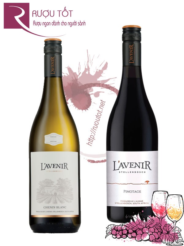 Rượu vang L'Avenir Horizon Stellenboch Red - White
