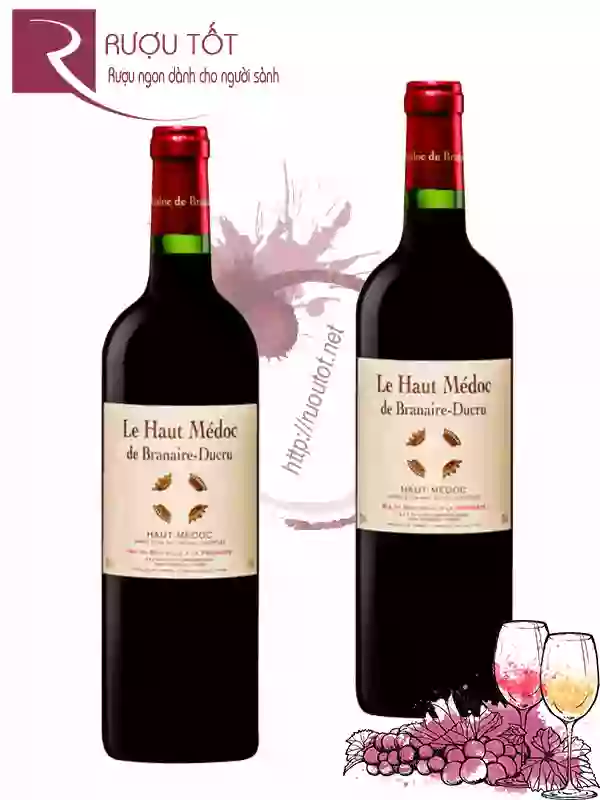 Rượu Vang Le Haut Medoc de Branaire Ducru