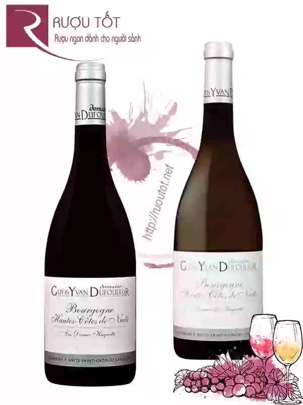 Rượu Vang Bourgogne Hautes Cotes de Nuits Les Dames Huguettes/Demoiselle Huguette