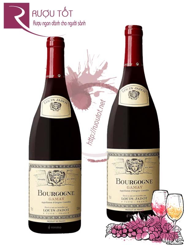 Rượu vang Bourgogne Gamay Louis Jadot Chính hãng