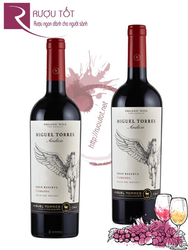 Rượu vang Miguel Torres Andica Gran Reserva