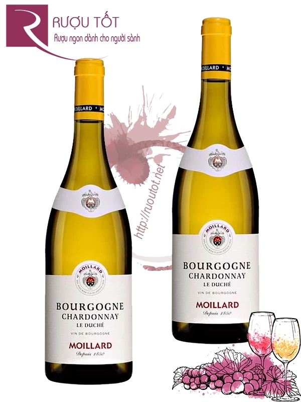 Vang Pháp Moillard Bourgogne Chardonnay