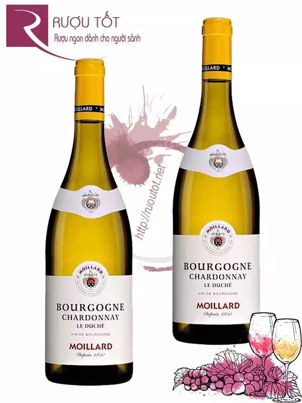 Vang Pháp Moillard Bourgogne Chardonnay