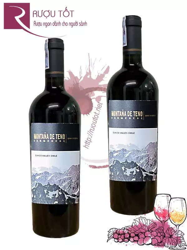 Rượu vang Montana De Teno Gran Reserva