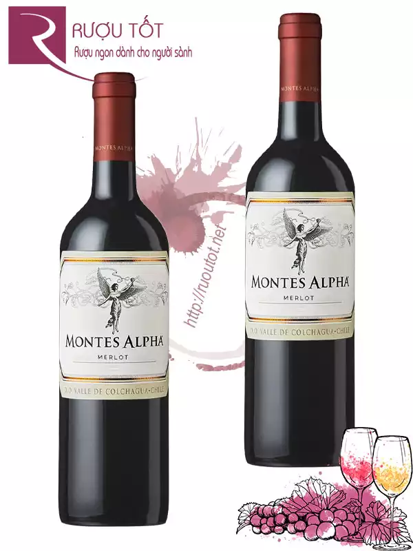 Vang Chile Montes Alpha Merlot đặc biệt