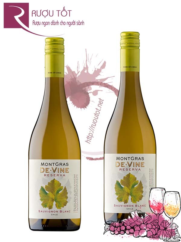 Rượu Vang Montgras de Vine Reserva Sauvignon Blanc