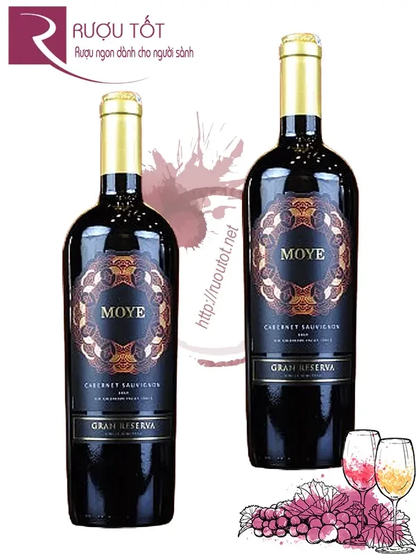 Rượu vang Chile Moye Gran Reserva