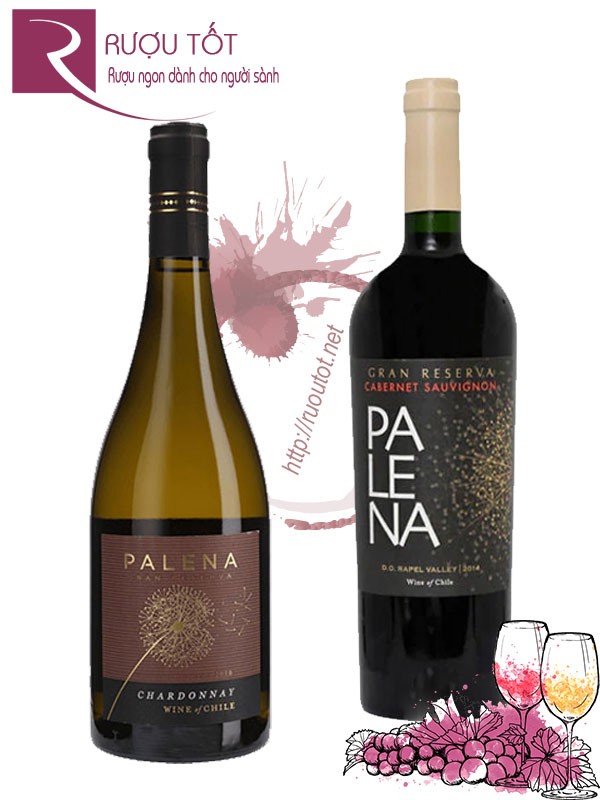 Vang Chile Palena Gran Reserva Cabernet Sauvignon Chardonnay