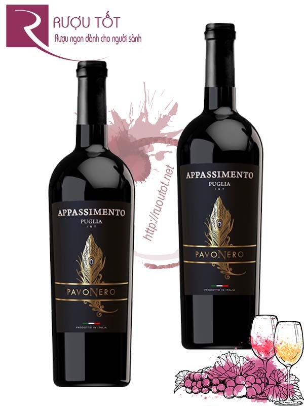 Rượu vang PavoNero Appassimento Puglia IGT