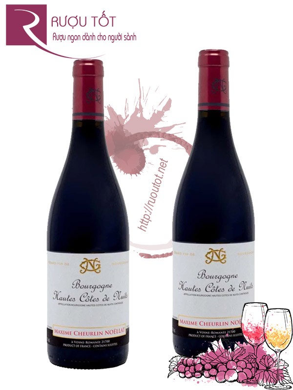 Rượu Vang Maxime Cheurlin Noellat Bourgogne Hautes Cotes De Nuits