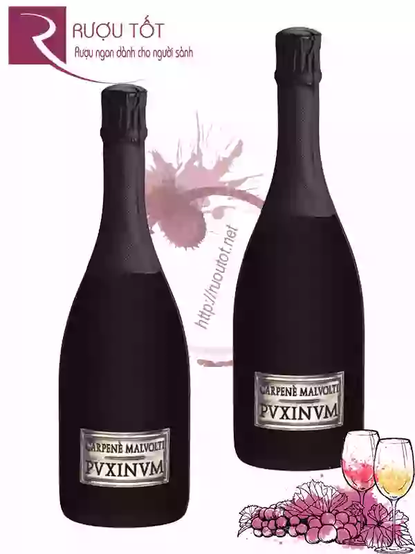 Rượu vang PVXINVM Carpene Malvolti Prosecco Superiore DOCG
