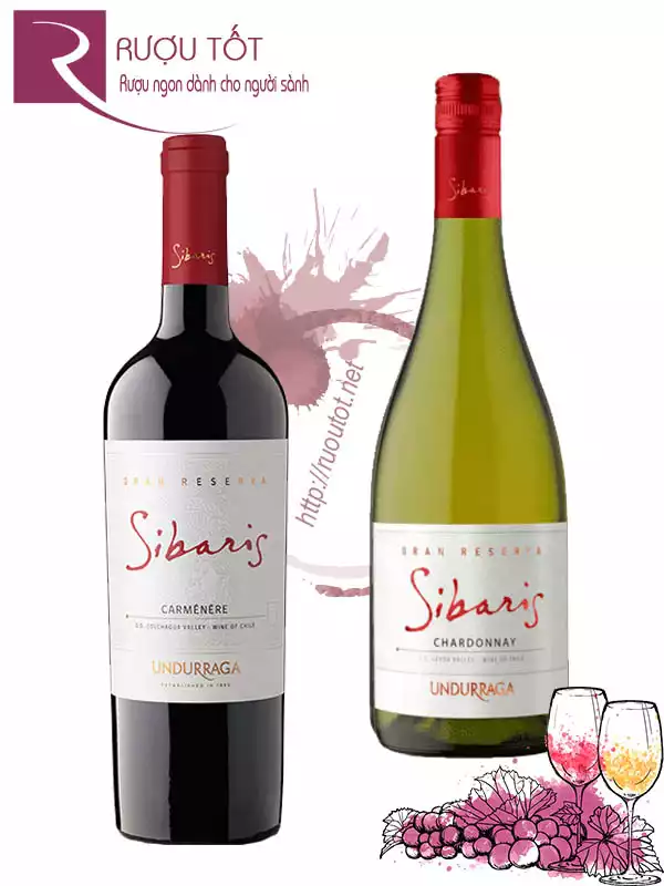 Vang Chile Sibaris Undurraga Gran Reserva Red - White