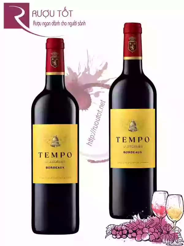 Rượu Vang Pháp Tempo dAngelus Bordeaux
