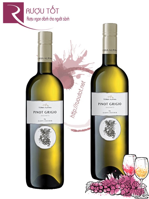 Rượu vang Terra Alpina Pinot Grigio Alois Lageder Cao Cấp