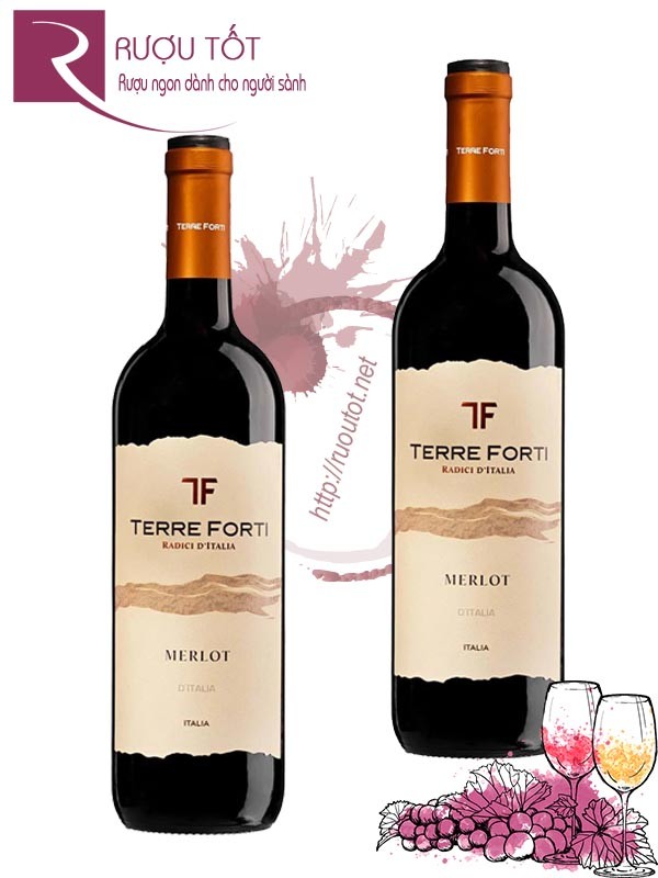 Rượu vang Terre Forti Merlot d'Italia Cao cấp