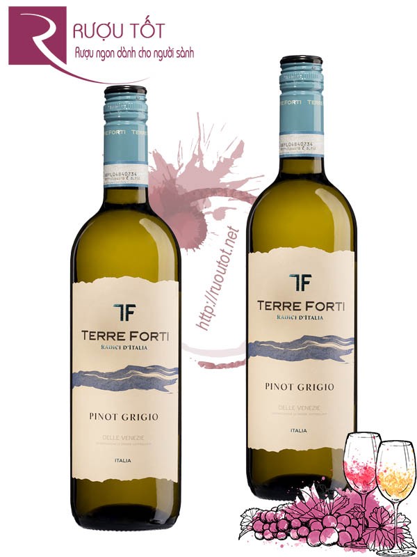 Rượu vang Terre Forti Pinot Griggio delle Venezie Chính hãng