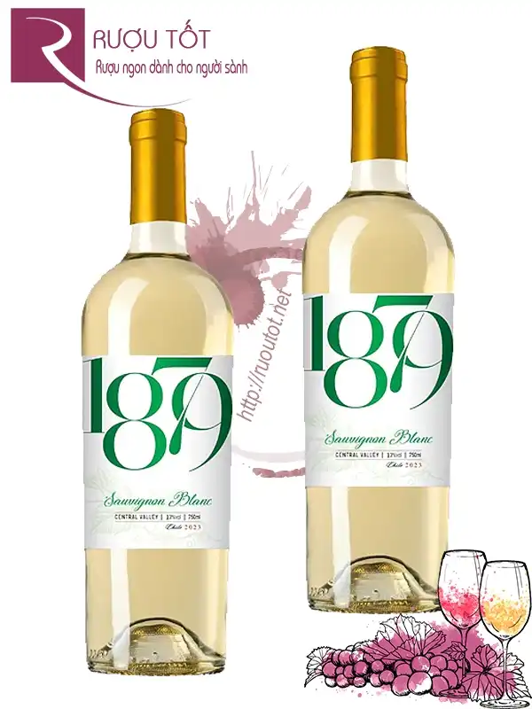 Vang trắng 1879 Sauvignon Blanc 12,5%