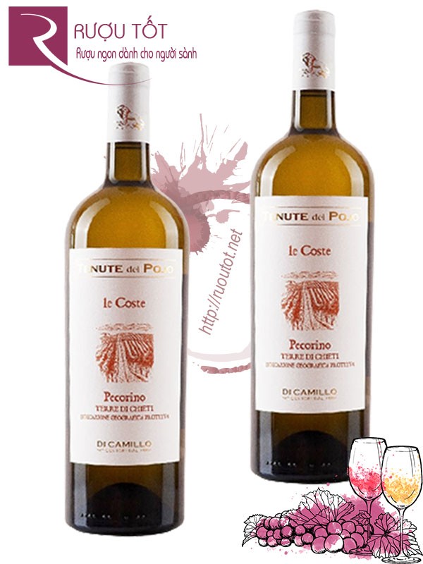 Rượu Vang Trắng Tenute Del Pojo le Coste Pecorino 13%