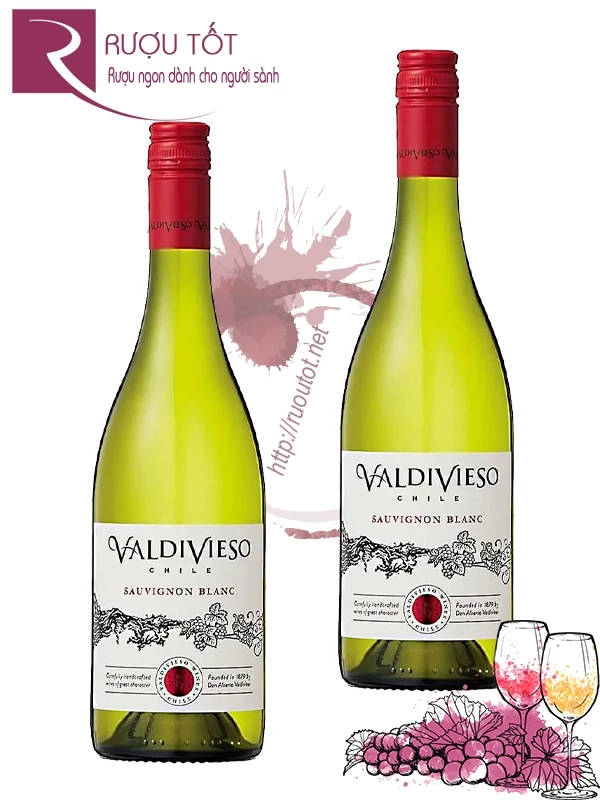 Vang Chile Valdivieso Winemaker Reserva Sauvignon Blanc - Chardonnay