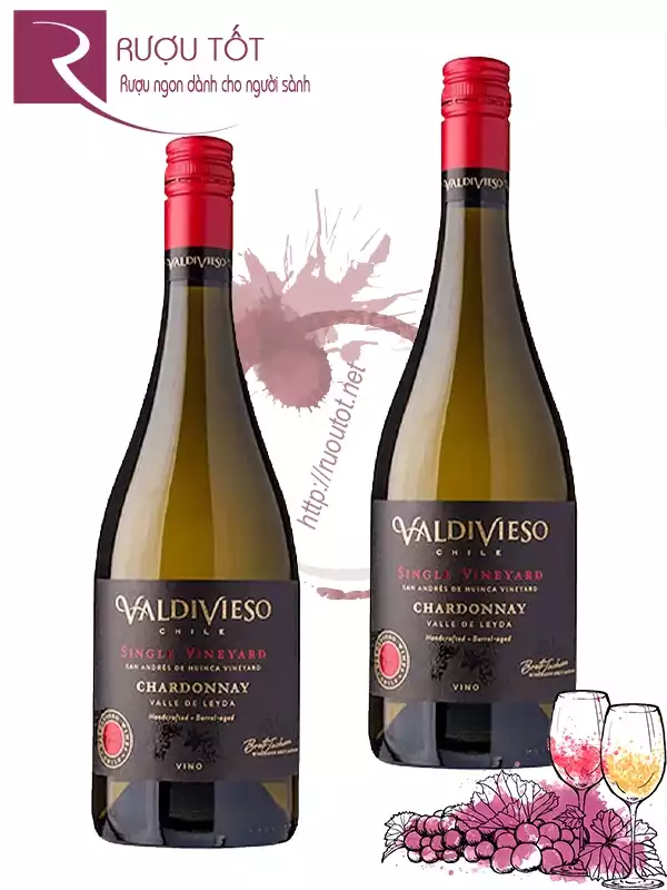 Vang Chile Valdivieso Single Vineyard Chardonnay