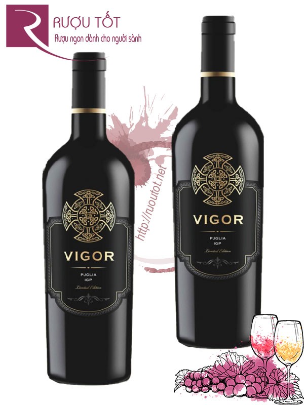 Rượu Vang Vigor Puglia IGT Limited Edition