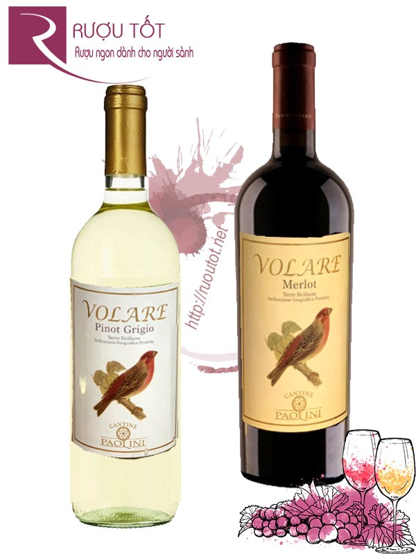 Rượu vang Volare Terre Siciliane Cantine Paolini Red - White