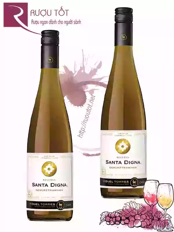 Rượu Vang Santa Digna Gewurztraminer Reserva