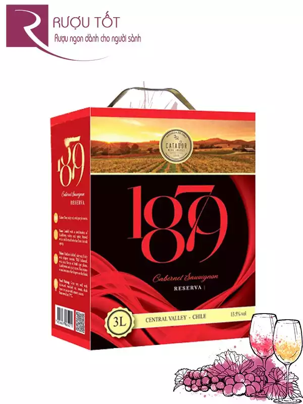 Vang Bịch 1879 Reserva Cabernet Sauvignon