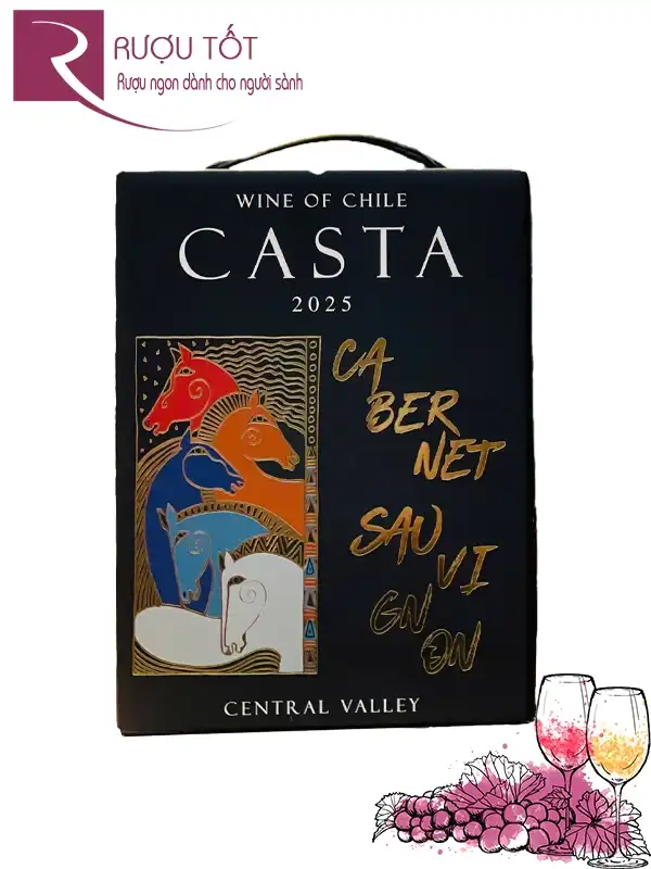 Vang bịch Casta Cabernet Sauvignon 3L